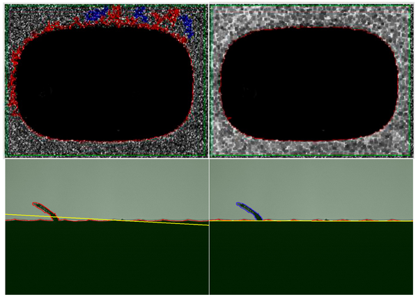 Elaborazione delle immagini Werth - Analizzare le immagini in modo perfetto per l'ottica e i computertomografia
