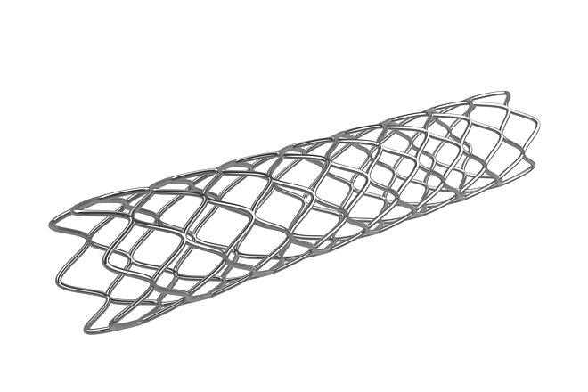 Stent - Pezzi per l'allargamento e la stabilizzazione dei vasi sanguigni